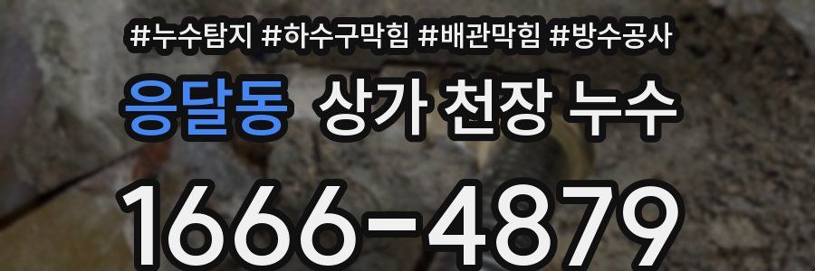 응달동 상가 천장 누수