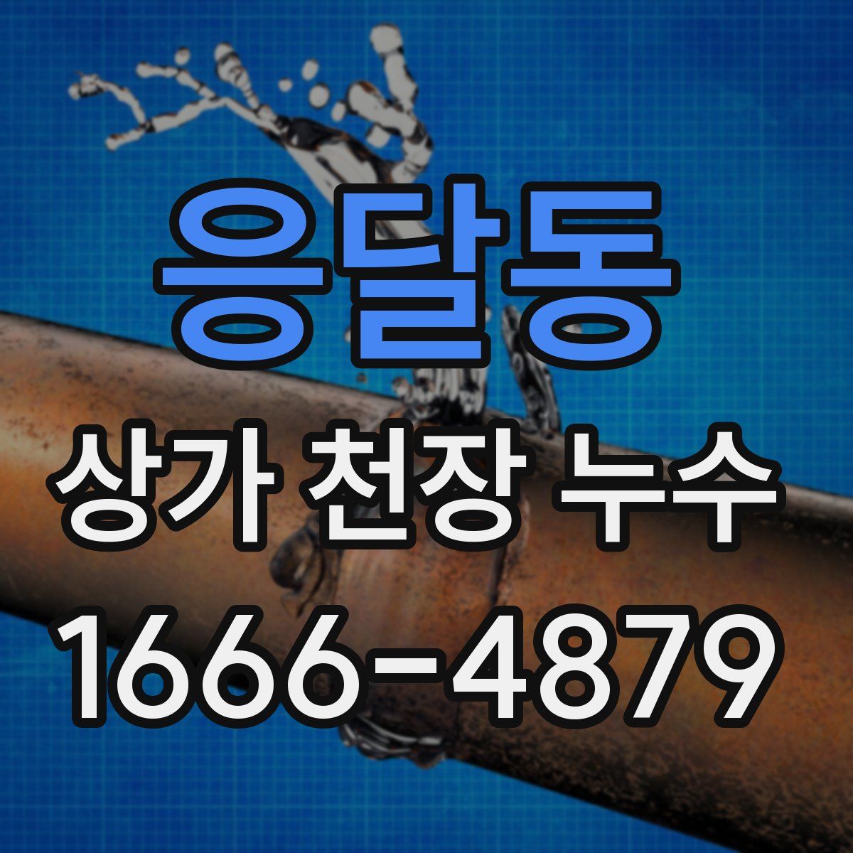 응달동 상가 천장 누수