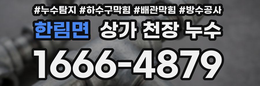 한림면 상가 천장 누수
