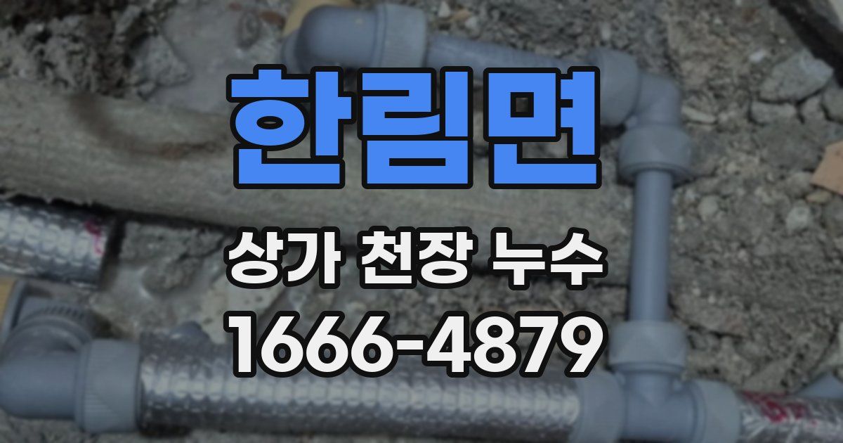 한림면 상가 천장 누수