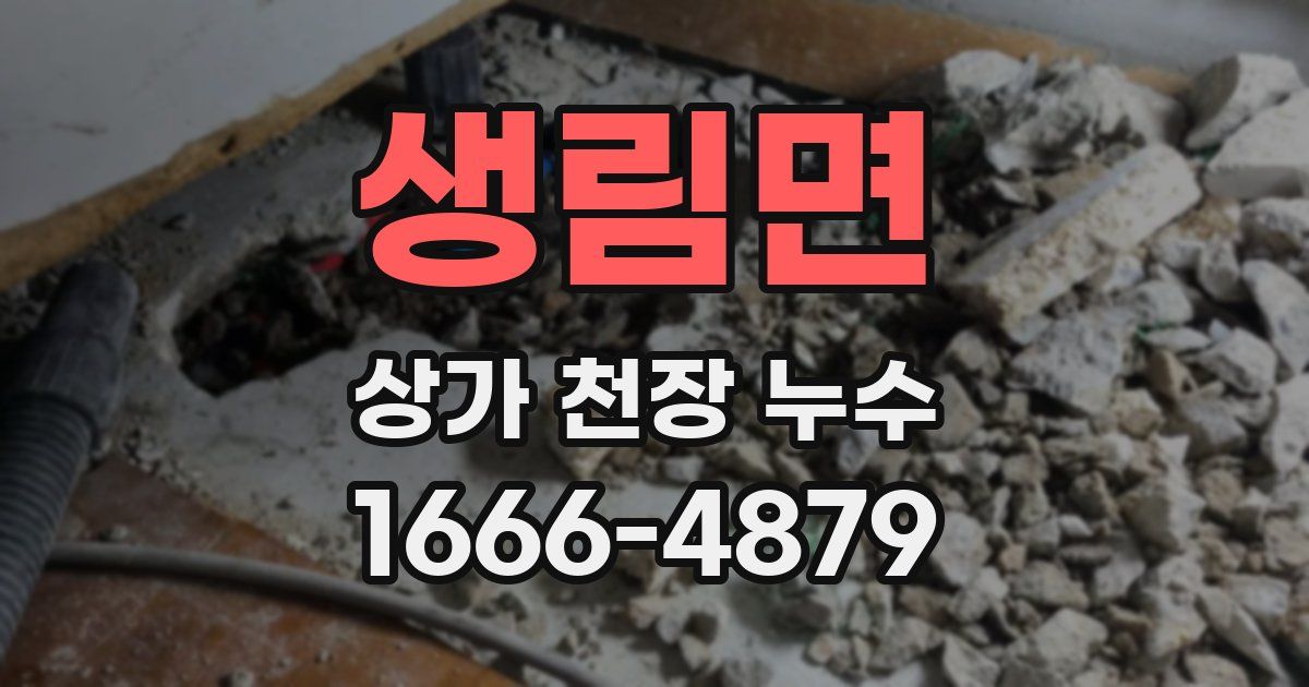 생림면 상가 천장 누수