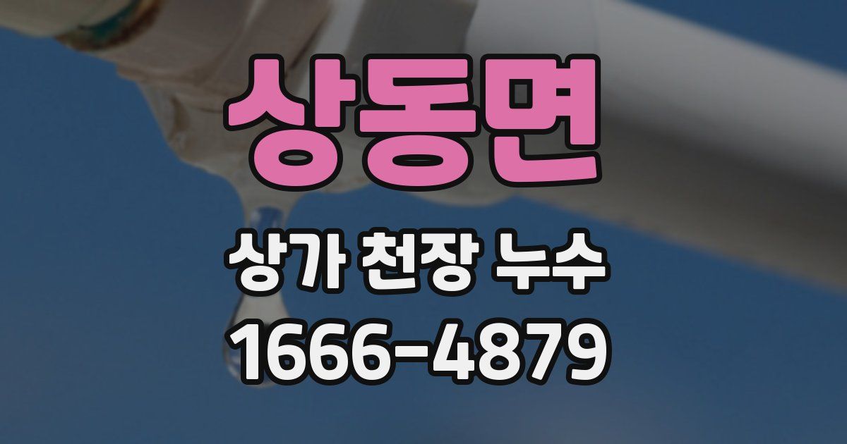 상동면 상가 천장 누수