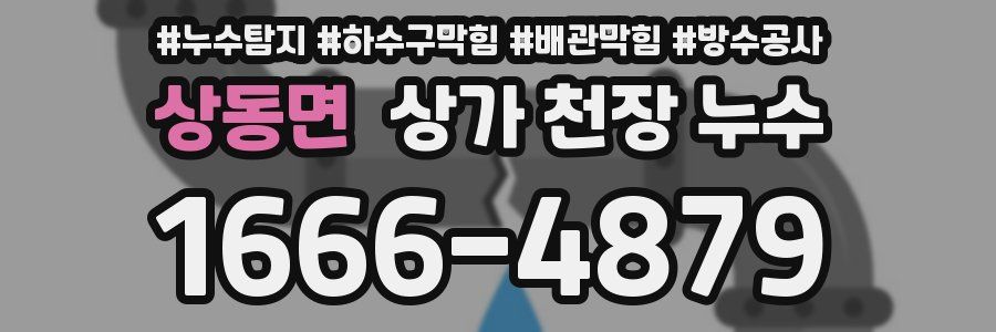 상동면 상가 천장 누수
