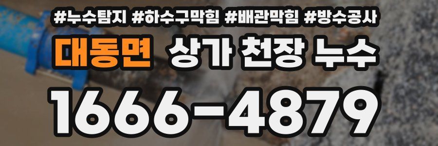 대동면 상가 천장 누수
