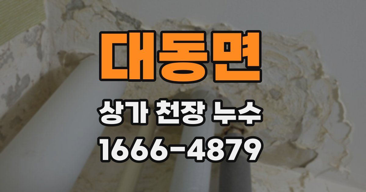 대동면 상가 천장 누수