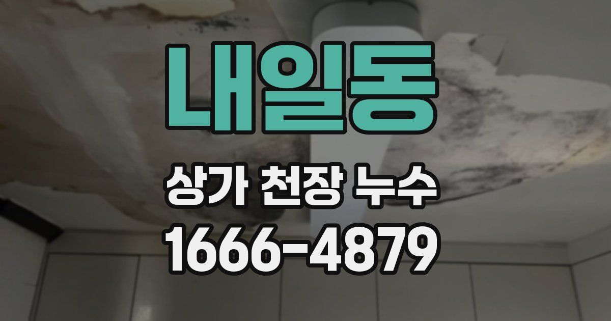 내일동 상가 천장 누수
