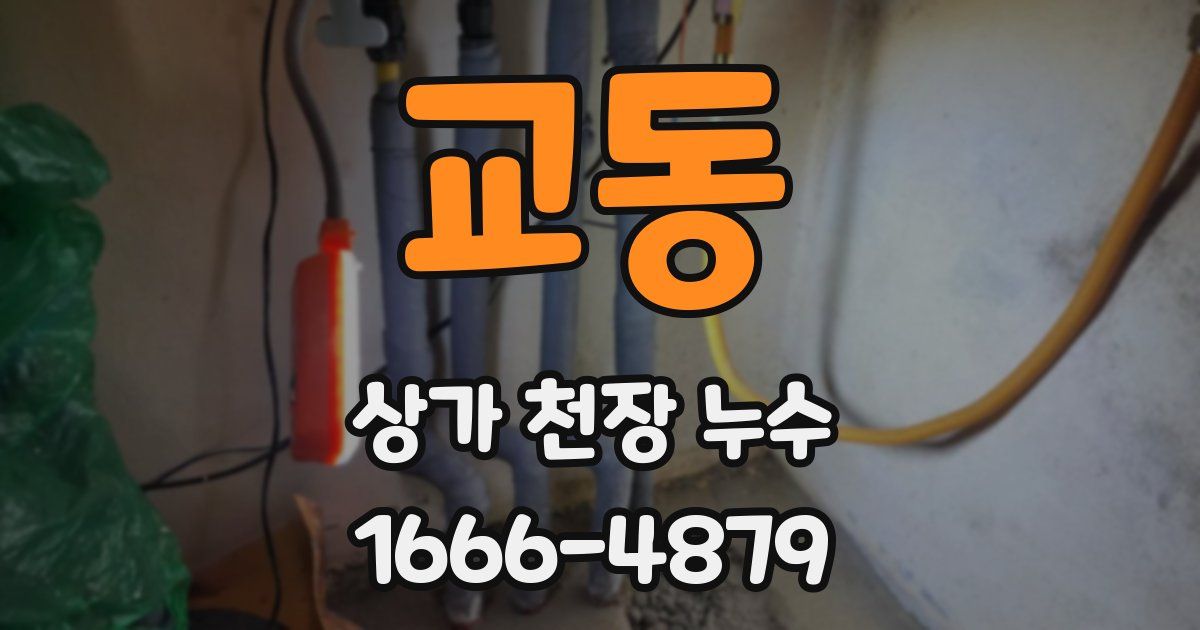 교동 상가 천장 누수