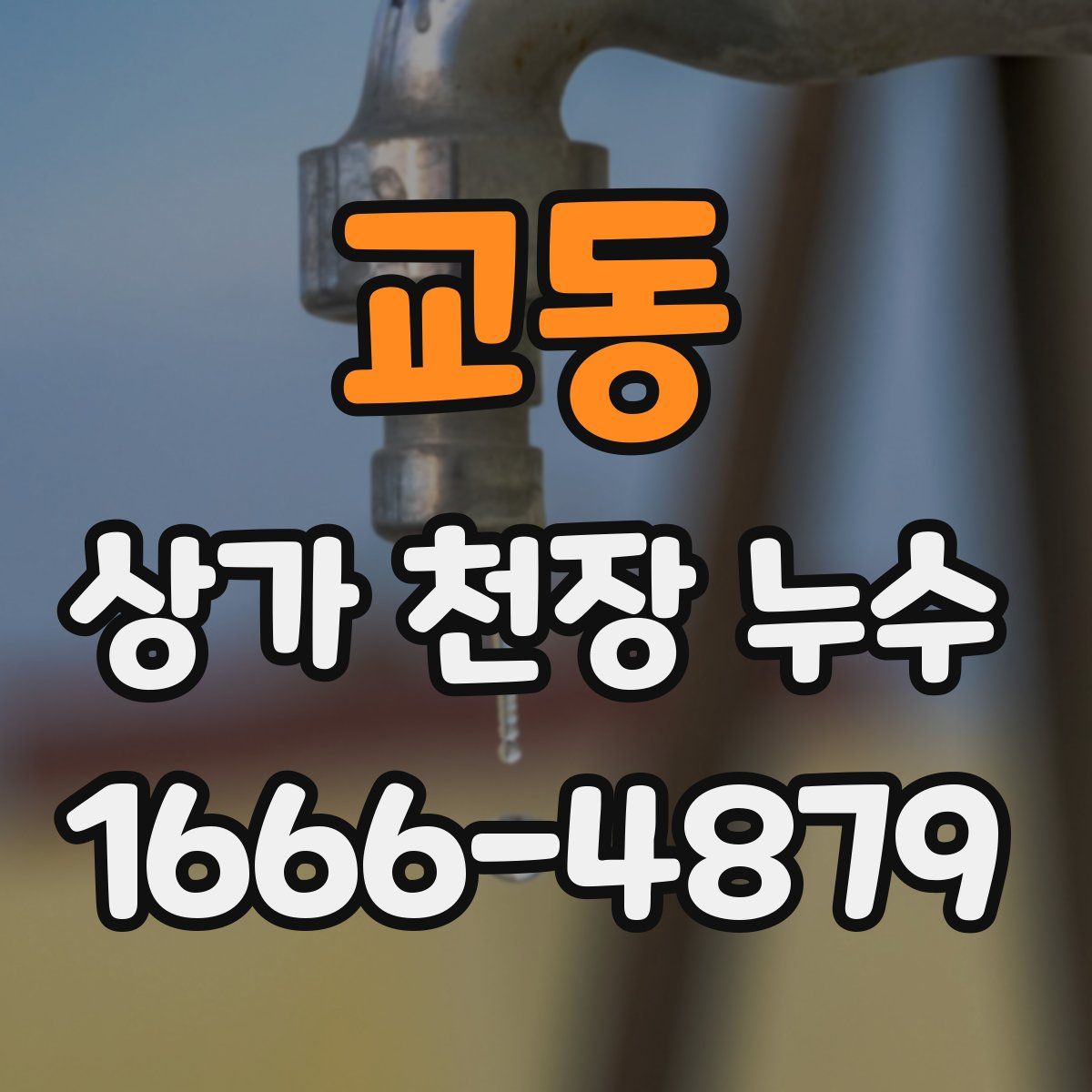 교동 상가 천장 누수