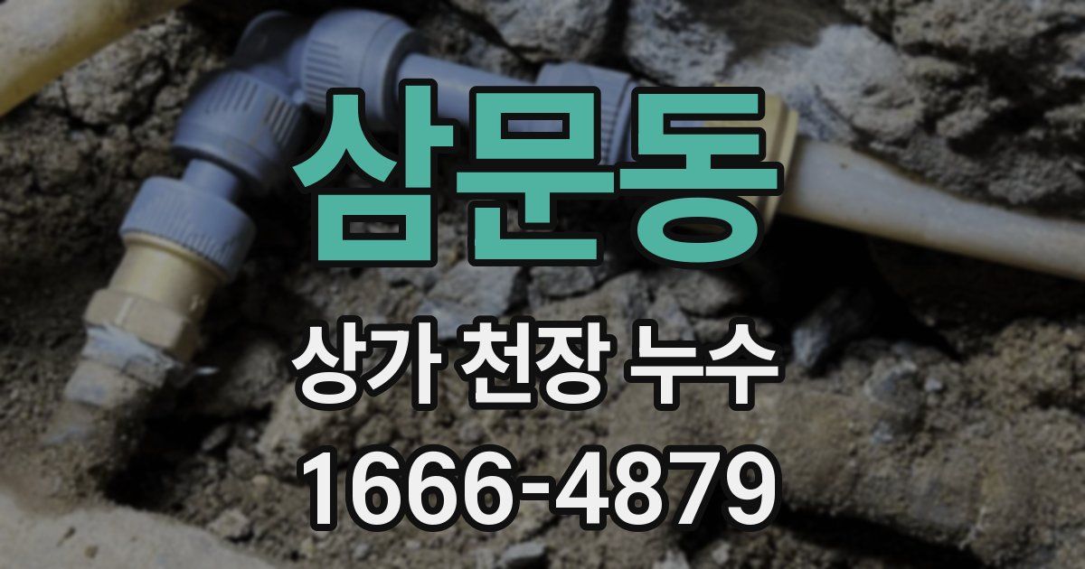 삼문동 상가 천장 누수