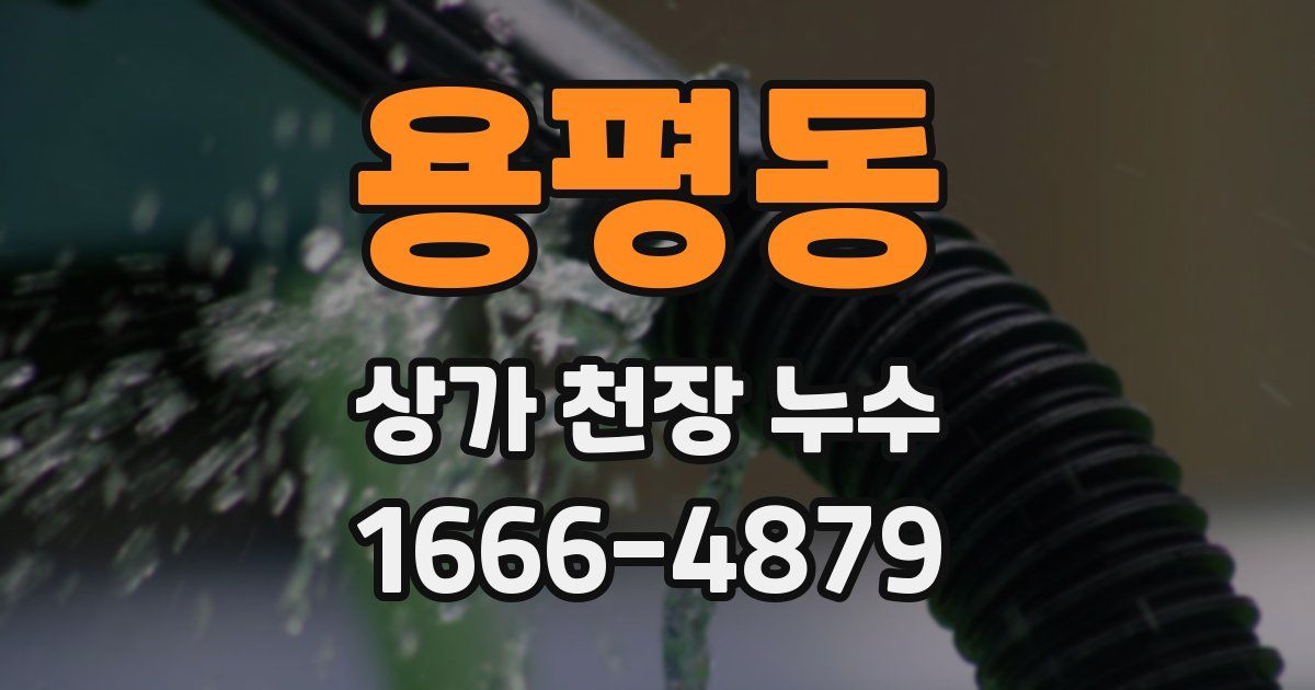 용평동 상가 천장 누수