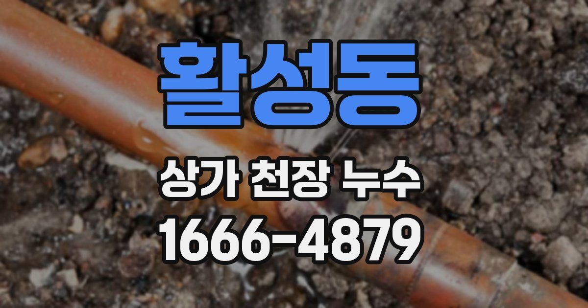 활성동 상가 천장 누수