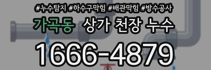 가곡동 상가 천장 누수