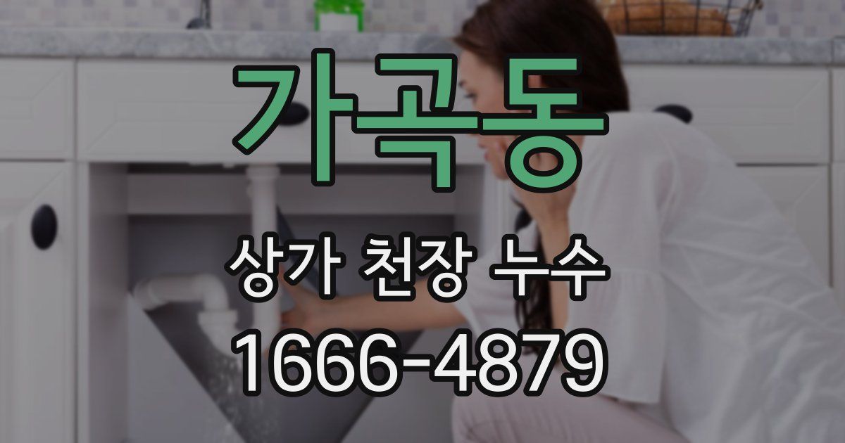 가곡동 상가 천장 누수