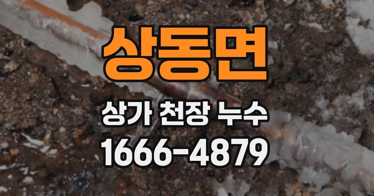 상동면 상가 천장 누수