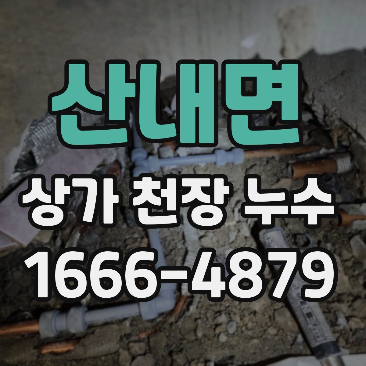 산내면 상가 천장 누수