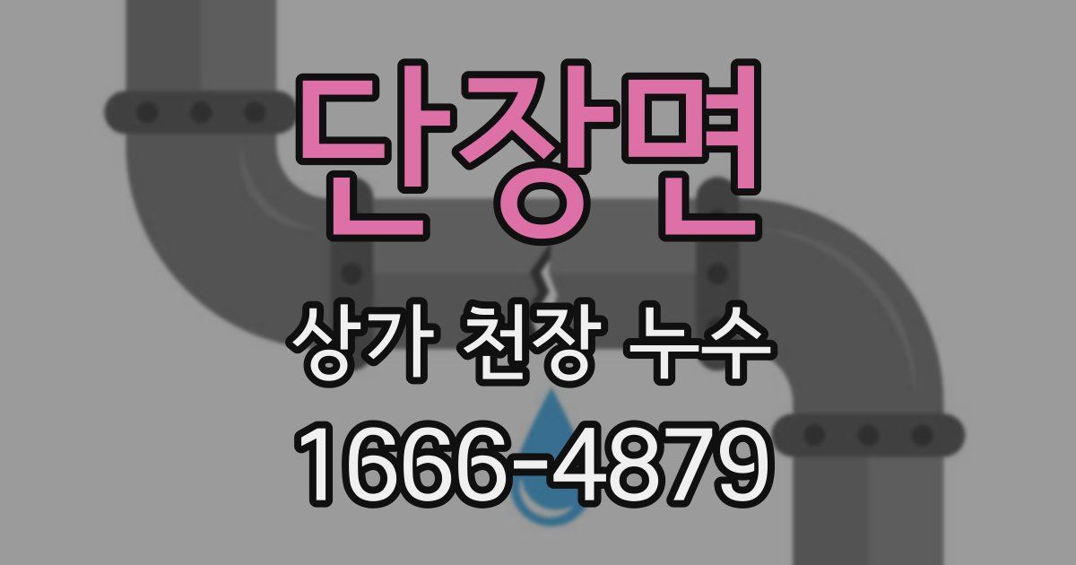 단장면 상가 천장 누수
