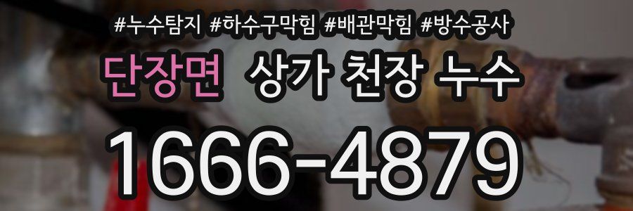 단장면 상가 천장 누수