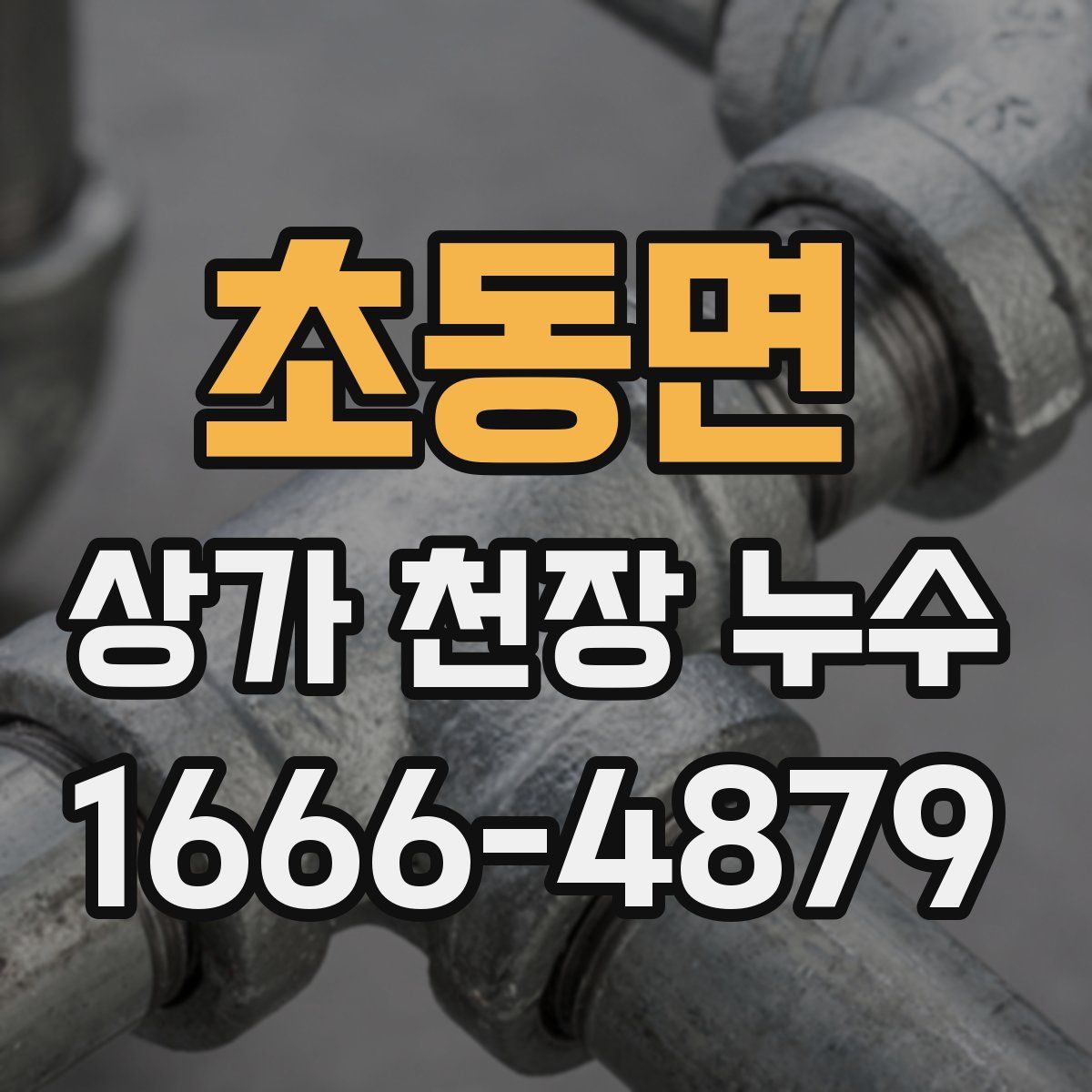 초동면 상가 천장 누수