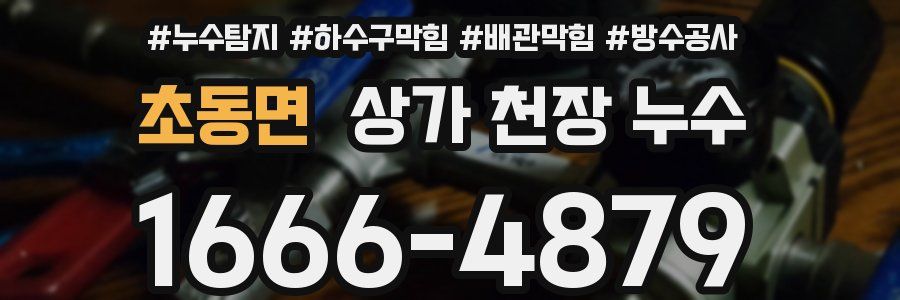 초동면 상가 천장 누수