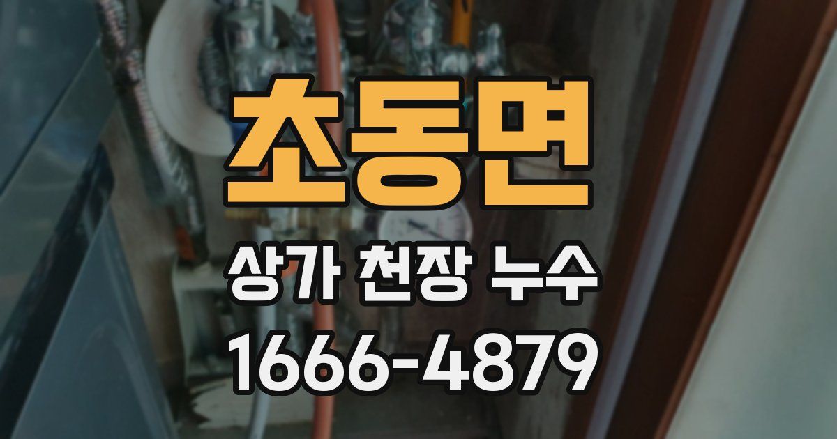 초동면 상가 천장 누수