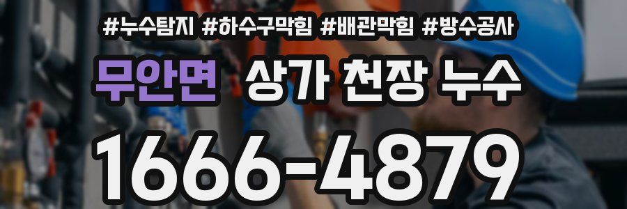 무안면 상가 천장 누수