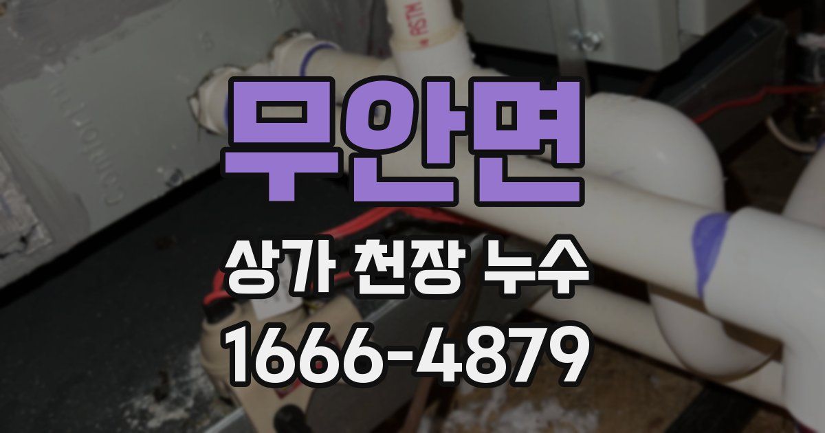 무안면 상가 천장 누수