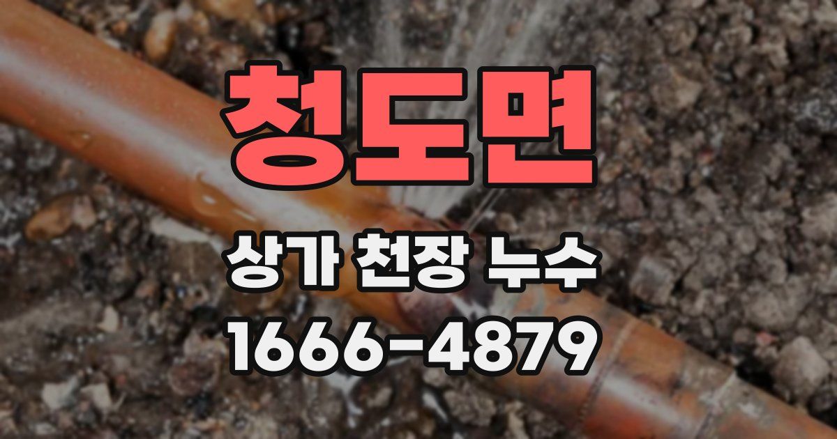 청도면 상가 천장 누수