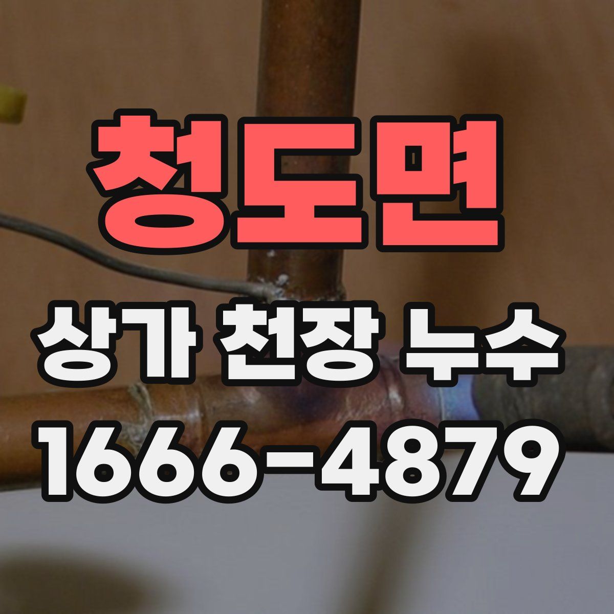 청도면 상가 천장 누수