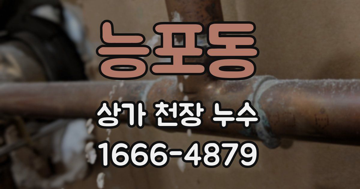 능포동 상가 천장 누수