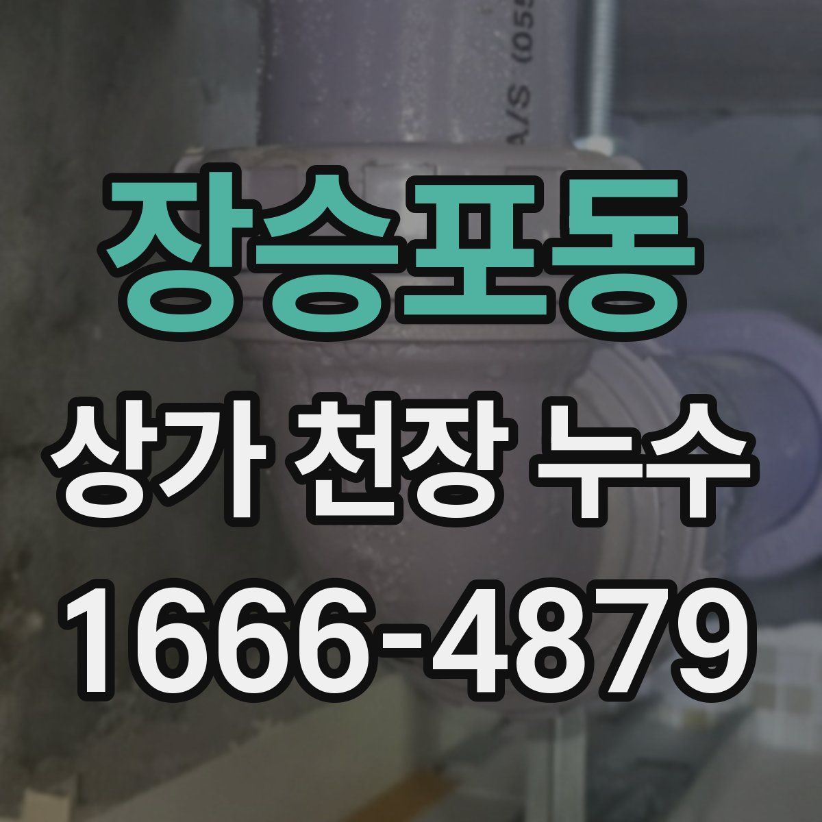 장승포동 상가 천장 누수