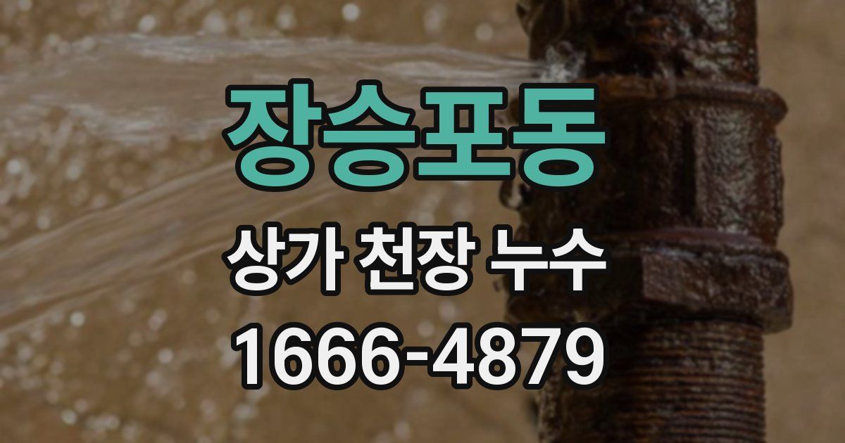 장승포동 상가 천장 누수