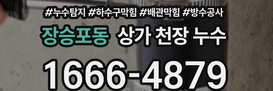 장승포동 상가 천장 누수