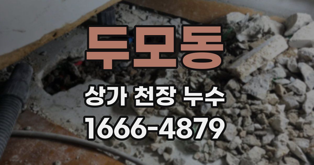 두모동 상가 천장 누수