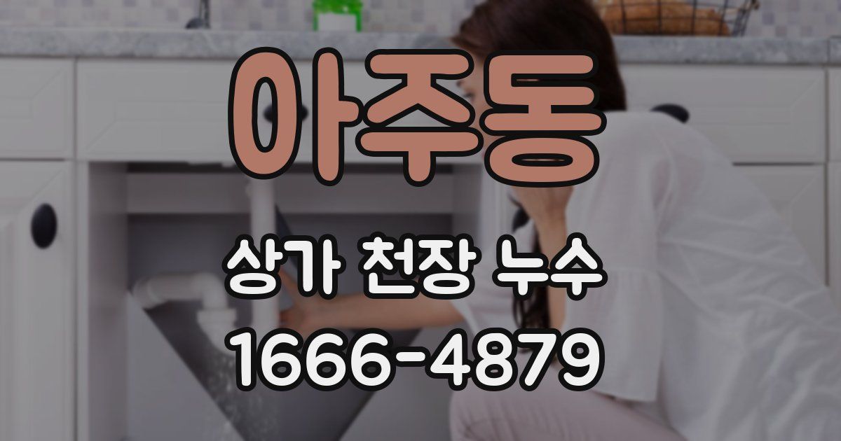 아주동 상가 천장 누수