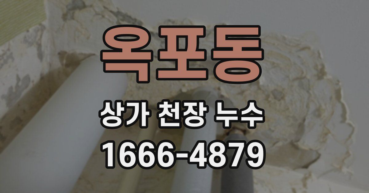 옥포동 상가 천장 누수