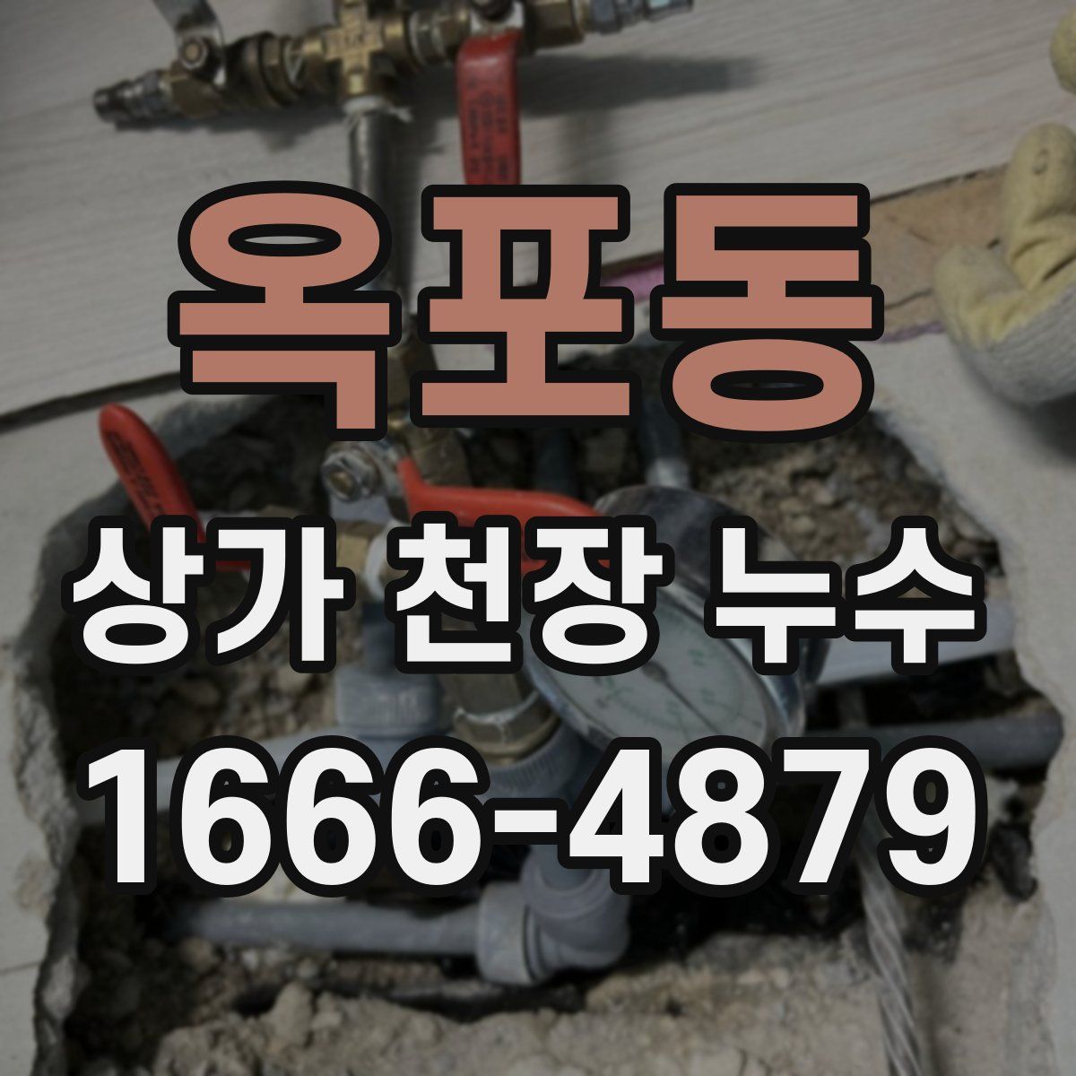 옥포동 상가 천장 누수