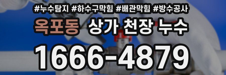 옥포동 상가 천장 누수