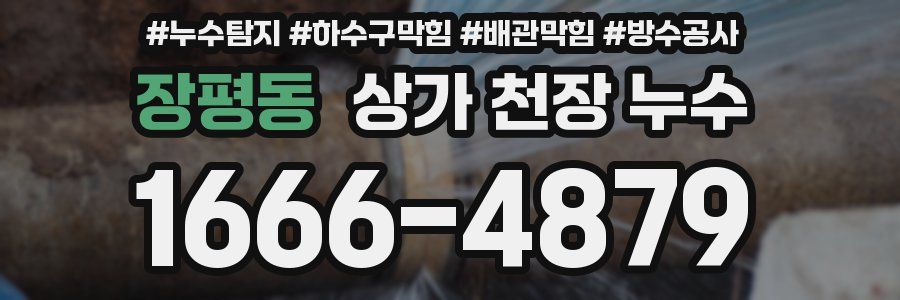 장평동 상가 천장 누수
