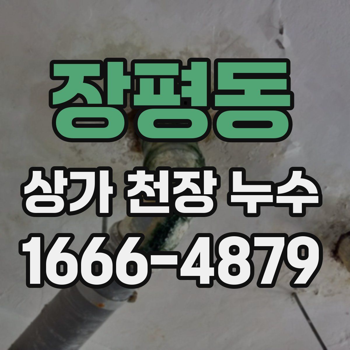 장평동 상가 천장 누수