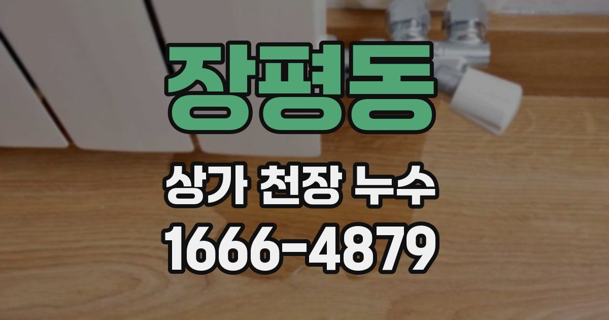 장평동 상가 천장 누수