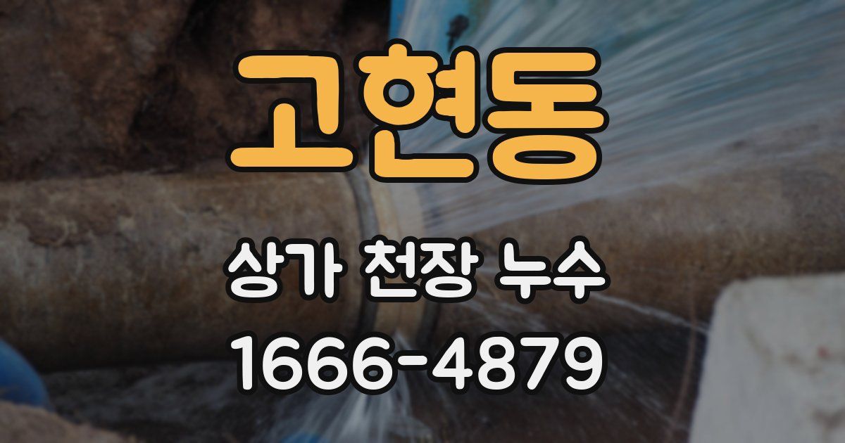고현동 상가 천장 누수