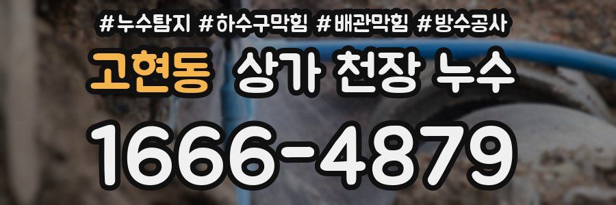 고현동 상가 천장 누수