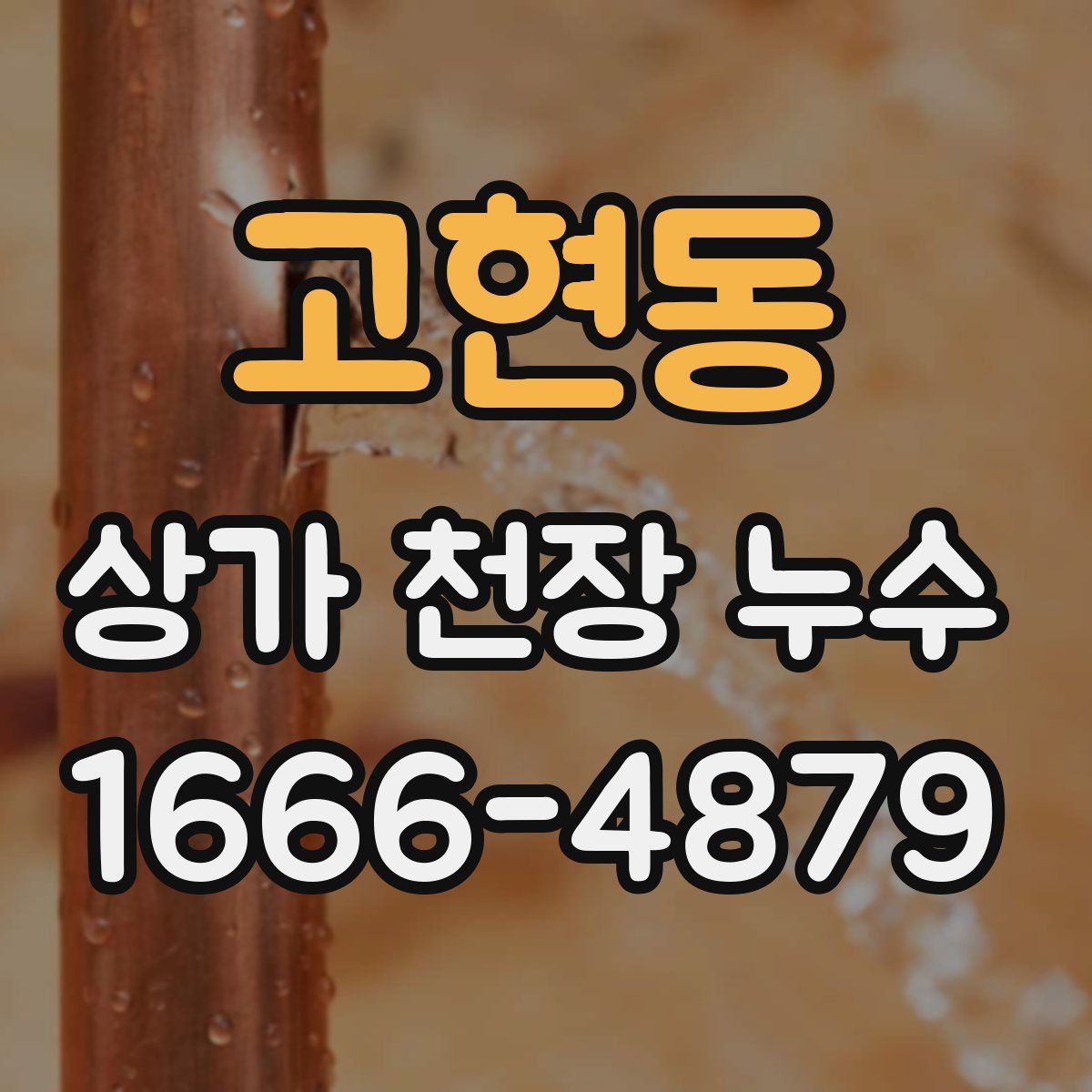 고현동 상가 천장 누수