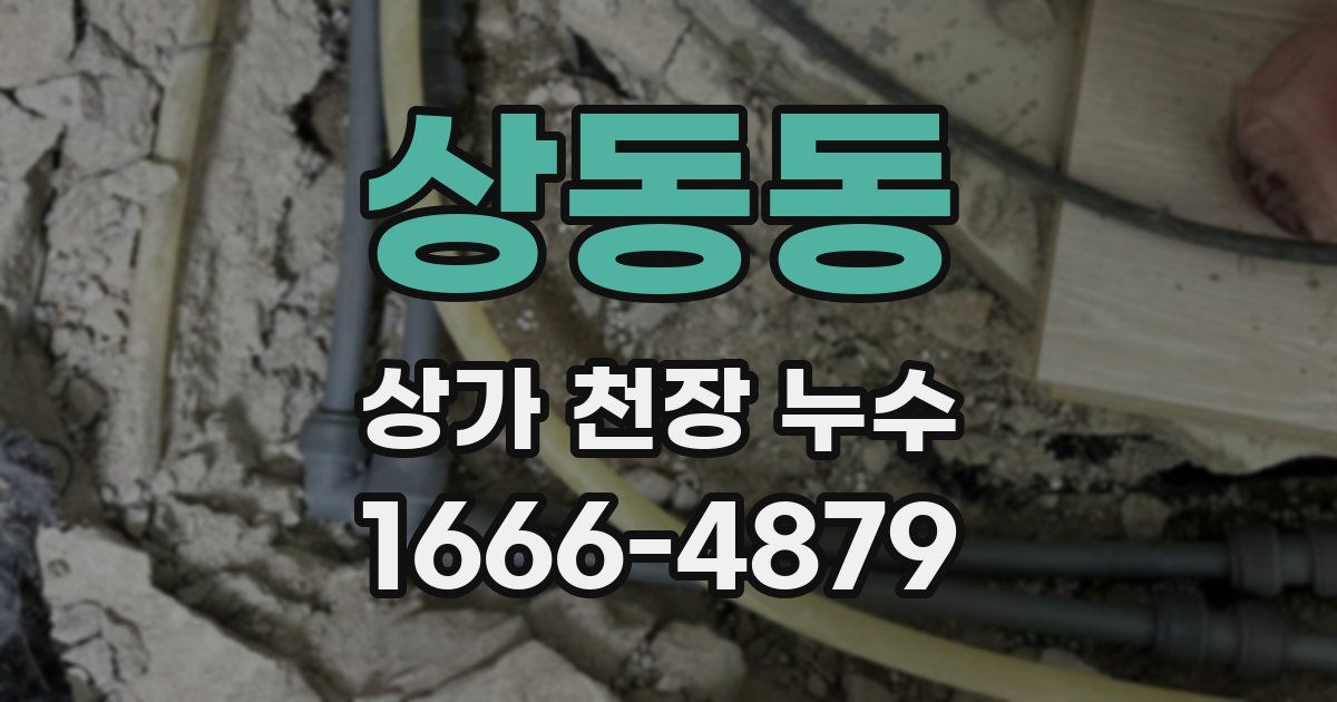 상동동 상가 천장 누수