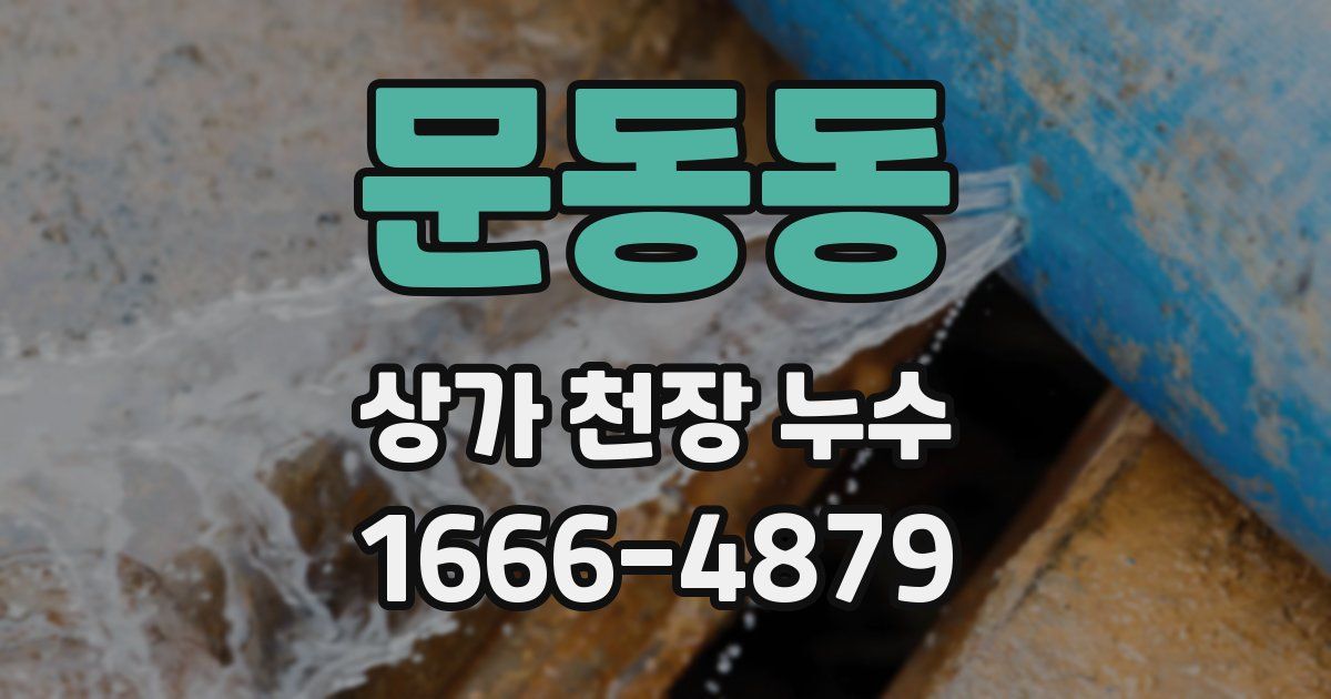 문동동 상가 천장 누수