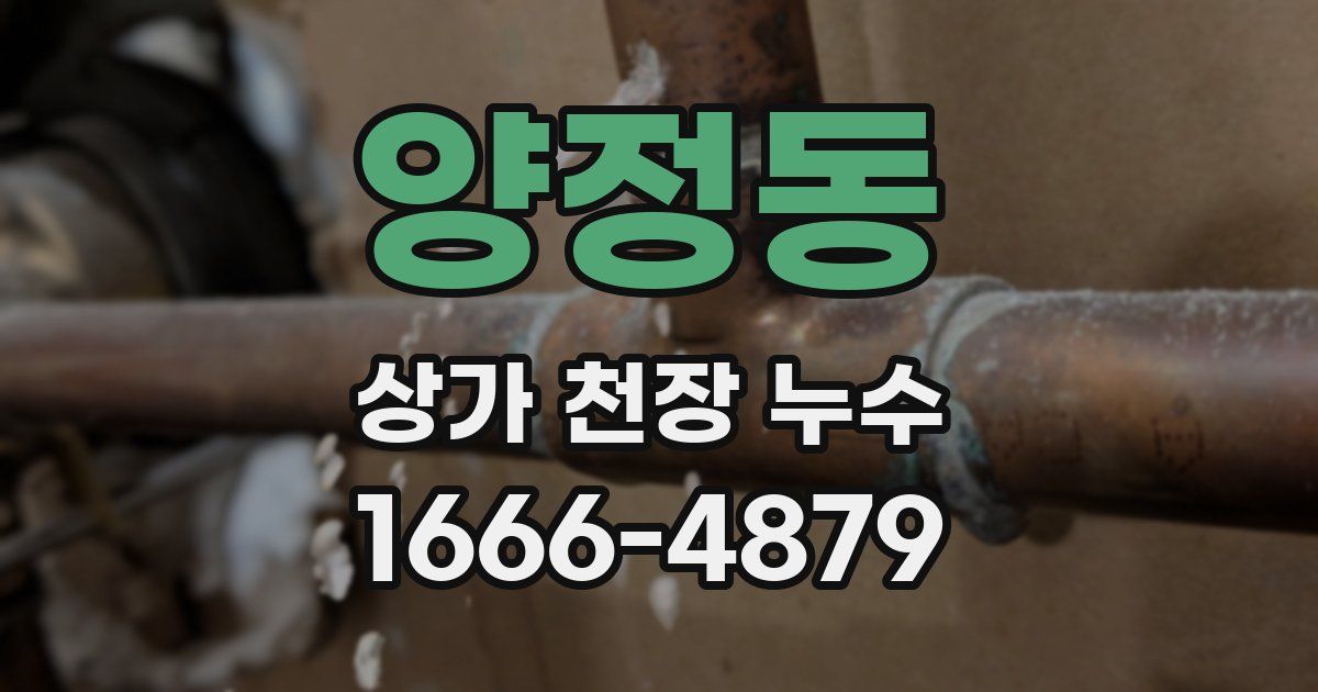 양정동 상가 천장 누수