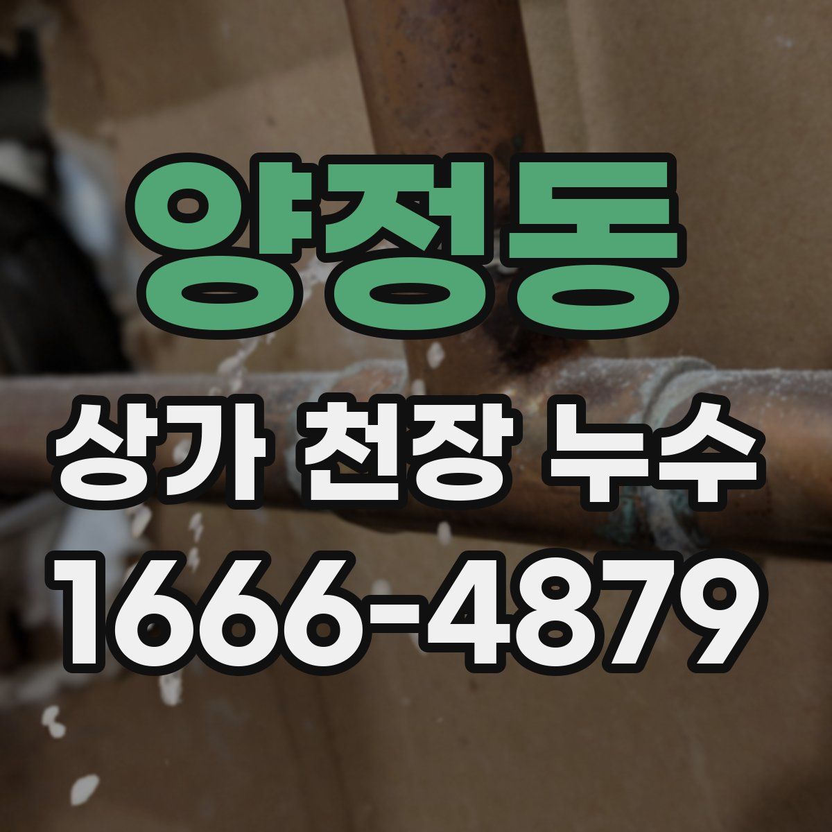 양정동 상가 천장 누수