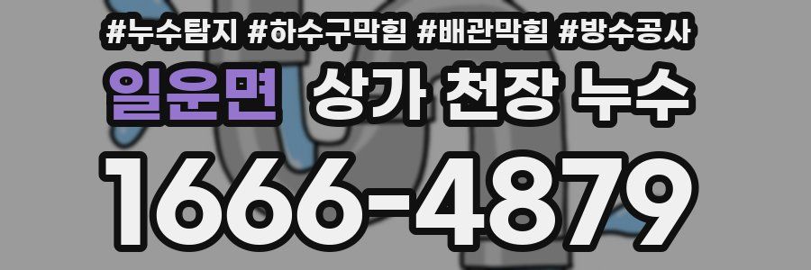 일운면 상가 천장 누수