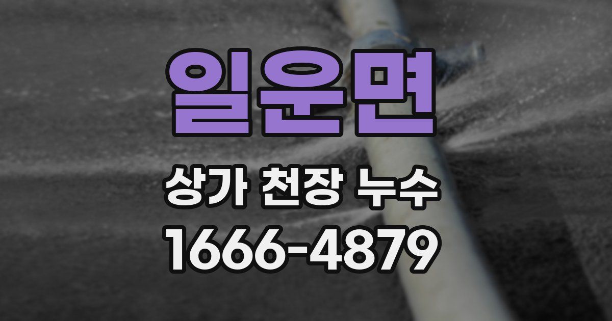일운면 상가 천장 누수