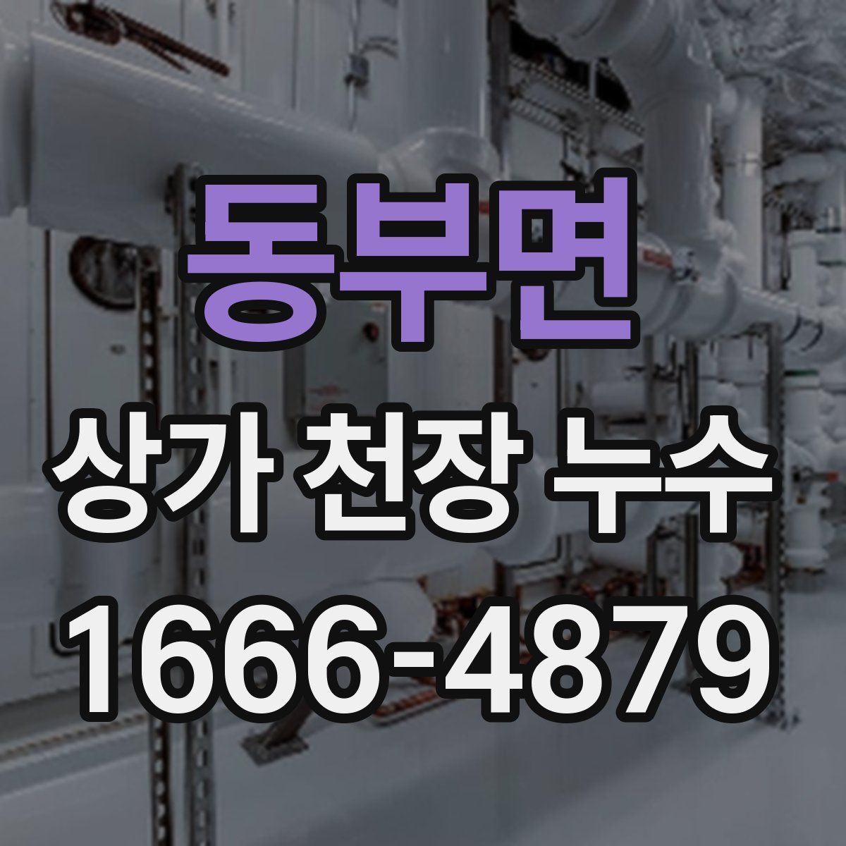 동부면 상가 천장 누수